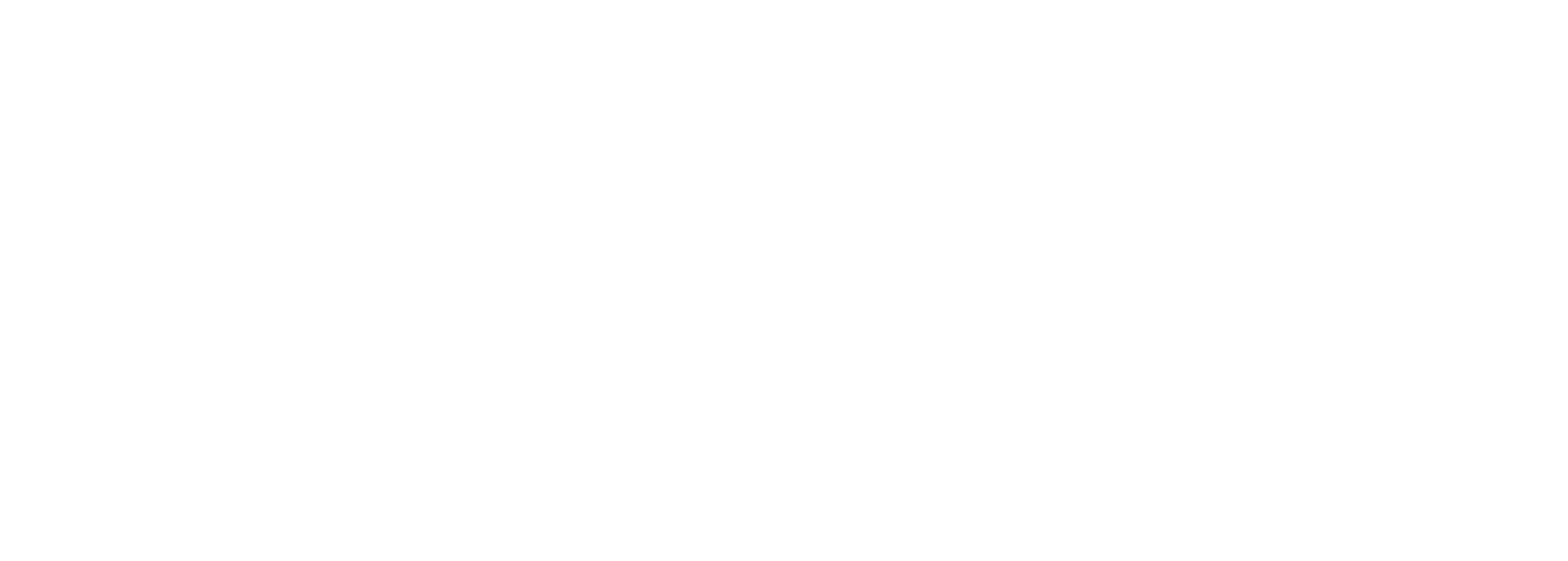 LogoPassio_SpeedBlanco
